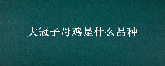 大冠子母鸡是什么品种（鸡冠子小的鸡是什么品种）