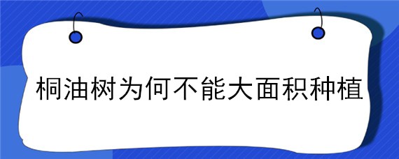 桐油树为何不能大面积种植 桐油树生长环境