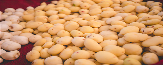 马铃薯栽培技术要点（马铃薯种植条件及技术要点）