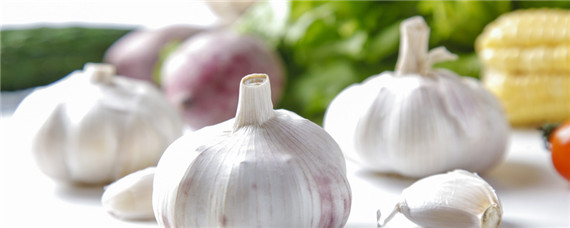 地膜覆盖大蒜怎么破膜 地膜蒜还用破膜吗