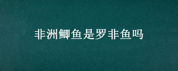 非洲鲫鱼是罗非鱼吗 罗非鱼 非洲鲫鱼