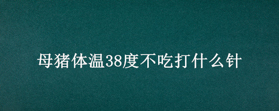 母猪体温38度不吃打什么针 母猪体温38度不吃食怎么办