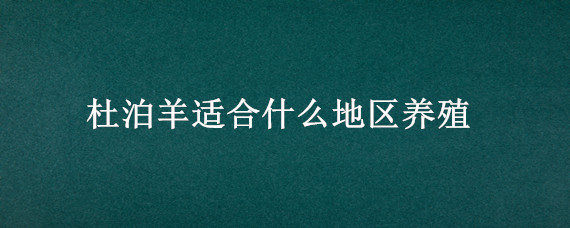 杜泊羊适合什么地区养殖 杜泊羊的养殖技术