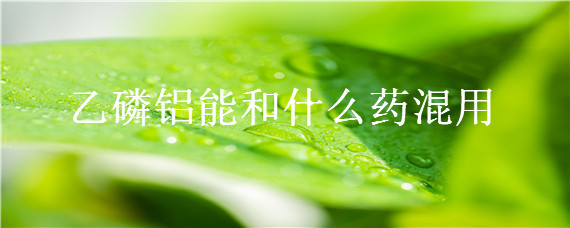 乙磷铝能和什么药混用 三乙磷酸铝混配药害