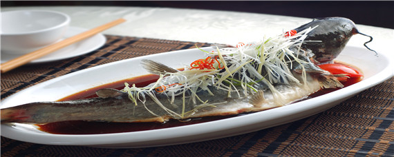 鲈鱼是什么鱼（红色的鲈鱼是什么鱼）