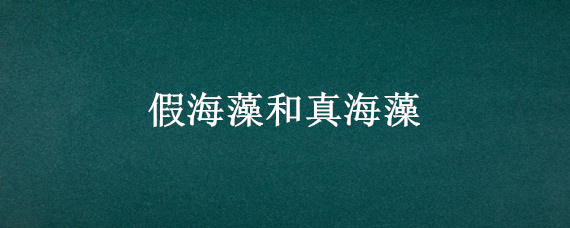 假海藻和真海藻 假海藻和真海藻的区别图片