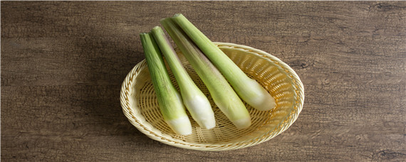 茭白一亩能种多少棵 一亩田茭白能产多少斤