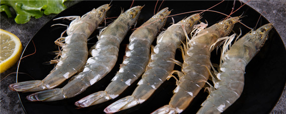 基尾虾生活什么环境(基围虾怎样养)