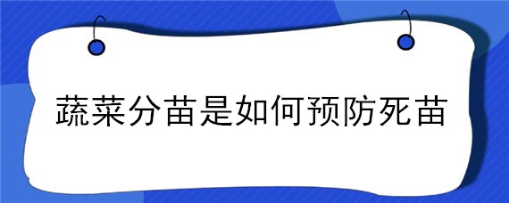 蔬菜分苗是如何预防死苗 白菜死苗是什么原因