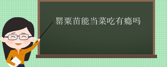 罂粟苗能当菜吃有瘾吗 罂粟苗当菜吃有什么好处