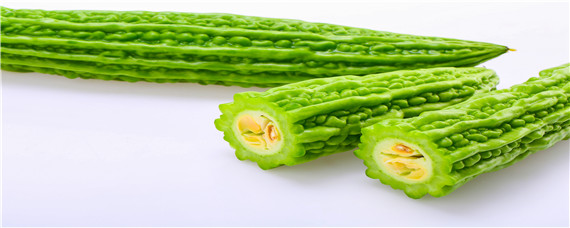 冬天苦瓜种子催芽方法（苦瓜种子的催芽方法）