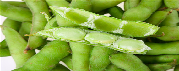 大豆田兰花菜用什么除草剂 大豆田兰花草用什么除草剂