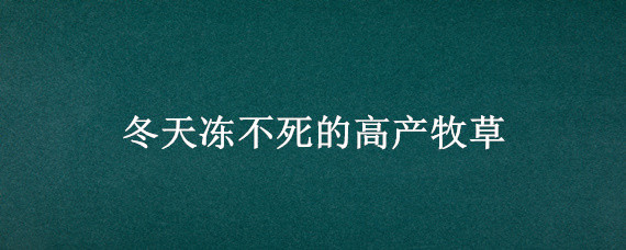 冬天冻不死的高产牧草 冬天冻不死的高产牧草黑麦70