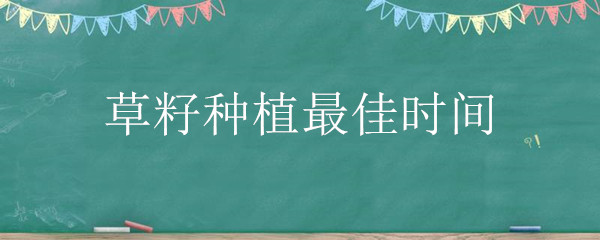 草籽种植最佳时间（草籽适合什么时候种植）