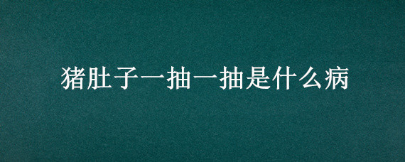 猪肚子一抽一抽是什么病（猪肚子抽搐是什么病）