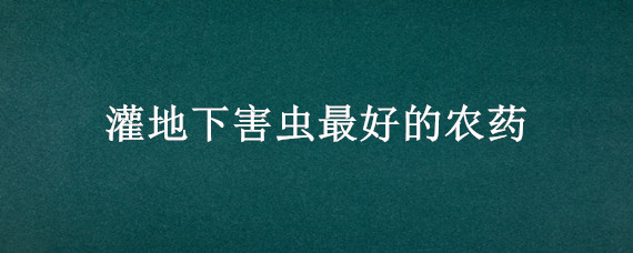 灌地下害虫最好的农药 地下害虫用什么农药好