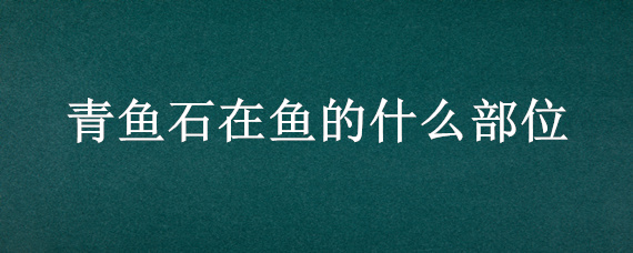 青鱼石在鱼的什么部位 青鱼石在青鱼的什么部位