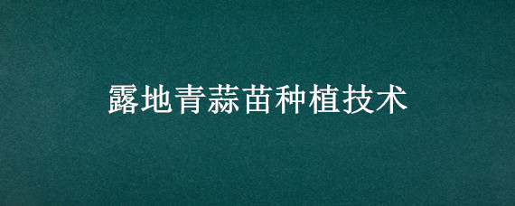 露地青蒜苗种植技术 冬季青蒜苗大棚种植技术