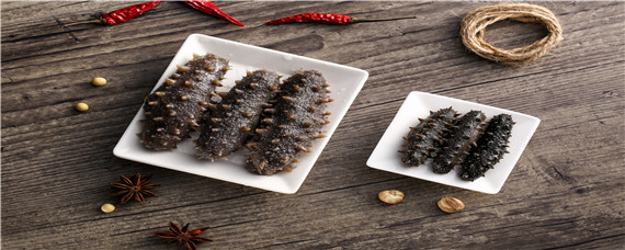 海参属于海鲜吗（海参属于海鲜吗,咳嗽能不能吃）