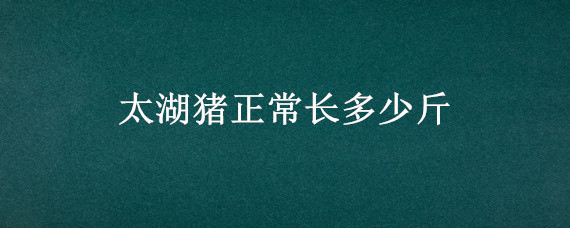 太湖猪正常长多少斤 太湖猪体重多大