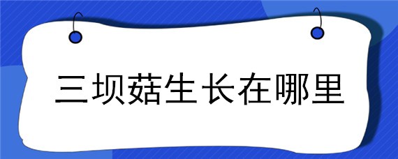 三坝菇生长在哪里（三把菇生长在什么地方）