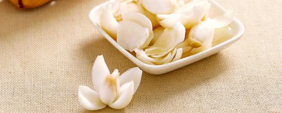 百合产地主要在哪个省（百合的产地主要是哪里）