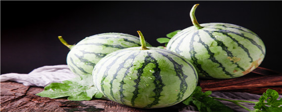 8424西瓜品种介绍 早佳8424西瓜品种介绍