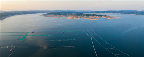 基围虾一亩能产多少斤（基围虾亩产量多少）