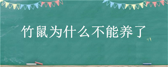 竹鼠为什么不能养了（竹鼠为啥不让养）