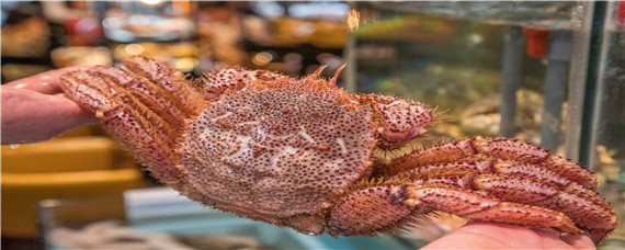 海蟹怎么保存（海虾海蟹怎么保存）