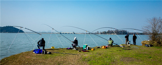 黄面面配什么饵料钓鲤鱼 野钓小黄面配什么饵料钓鲤鱼