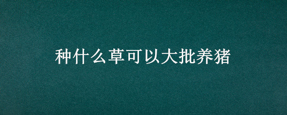 种什么草可以大批养猪 种什么草养猪最好