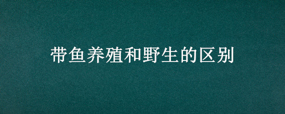 带鱼养殖和野生的区别（野生带鱼和养殖带鱼有啥区别）