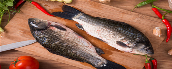 罗非鱼是鲫鱼吗（罗非鱼是什么鱼是鲫鱼吗）