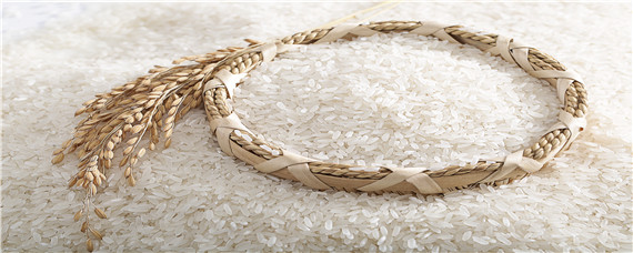 大米一般几月份上市 东北大米一般几月份上市