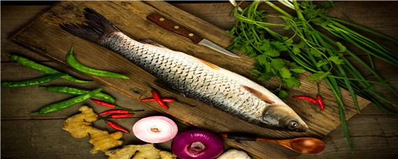 草鱼是什么鱼 又像草鱼又不像草鱼是什么鱼