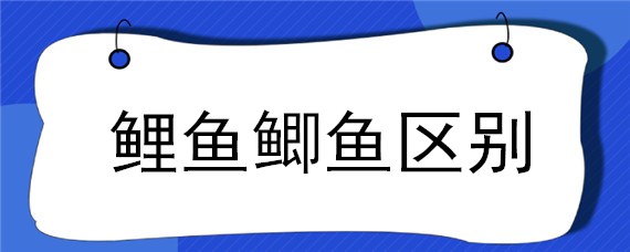 鲤鱼鲫鱼区别（鲤鱼和鲫鱼哪个营养高）