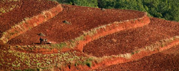 耕地分级 耕地分级标准
