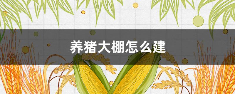 养猪大棚怎么建 养猪大棚怎么建少花钱