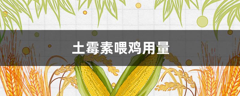 土霉素喂鸡用量(土霉素喂鸡用量怎么计算)