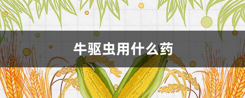 牛驱虫用什么药（牛羊驱虫药都有哪些）