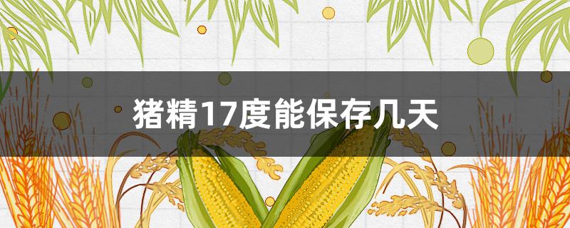 猪精17度能保存几天（猪精17度能保存多久）