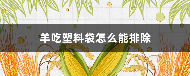 羊吃塑料袋怎么能排除(羊吃塑料袋怎么能预防)