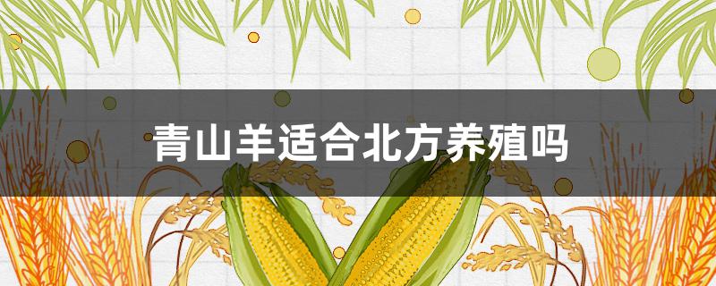 青山羊适合北方养殖吗（青山羊东北能养青山羊吗?）