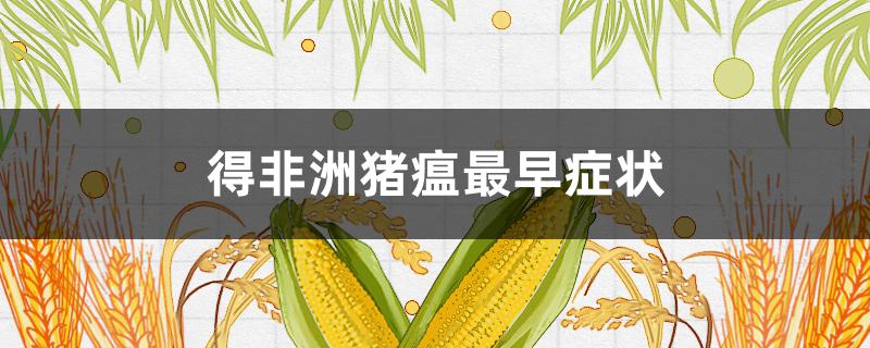 得非洲猪瘟最早症状（非洲猪瘟起初是什么症状）