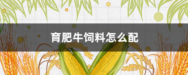 育肥牛饲料怎么配 母牛育肥饲料配方