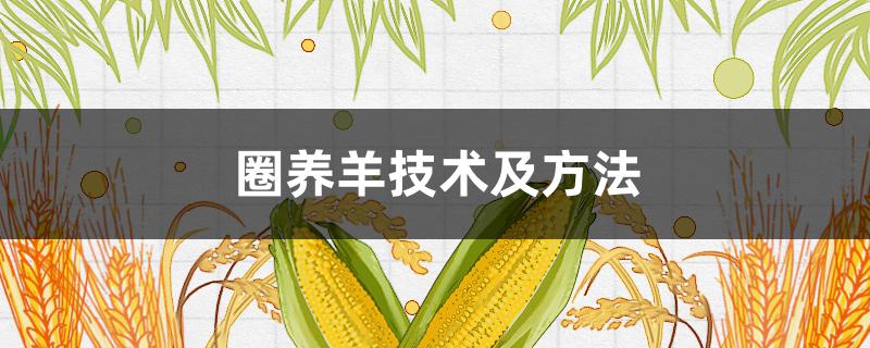 圈养羊技术及方法（圈养羊的技术难点是什么?）