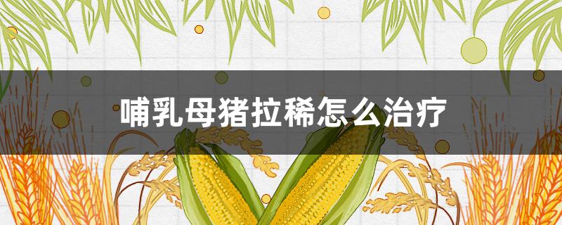 哺乳母猪拉稀怎么治疗（哺乳期仔猪拉稀怎么快速治好）