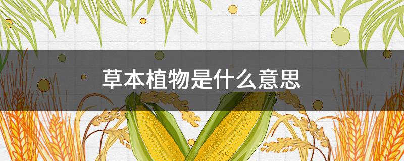 草本植物是什么意思（一年生草本植物是什么意思）