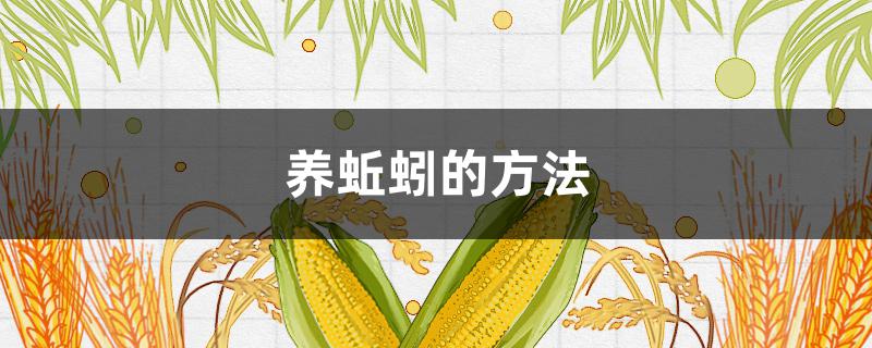 养蚯蚓的方法（养蚯蚓的方法 牛粪 视频教程）